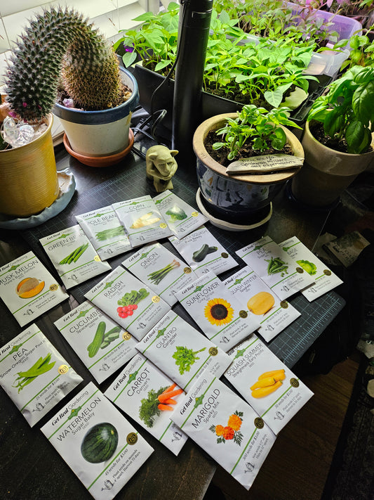 What Veggies to Plant in May