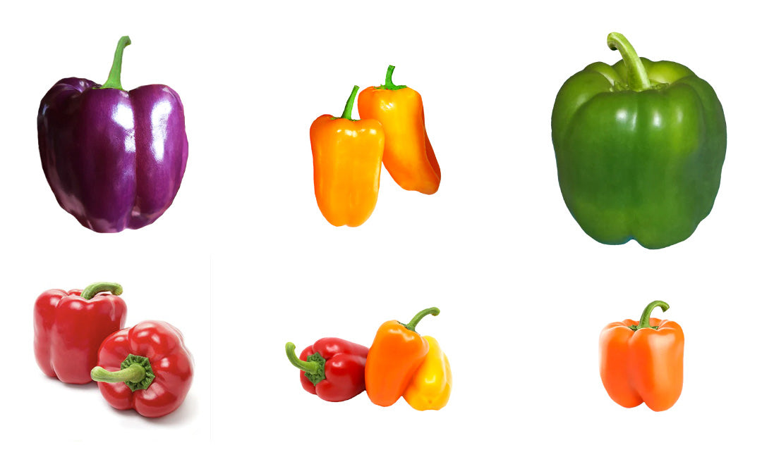 How to Grow Green Bell Peppers