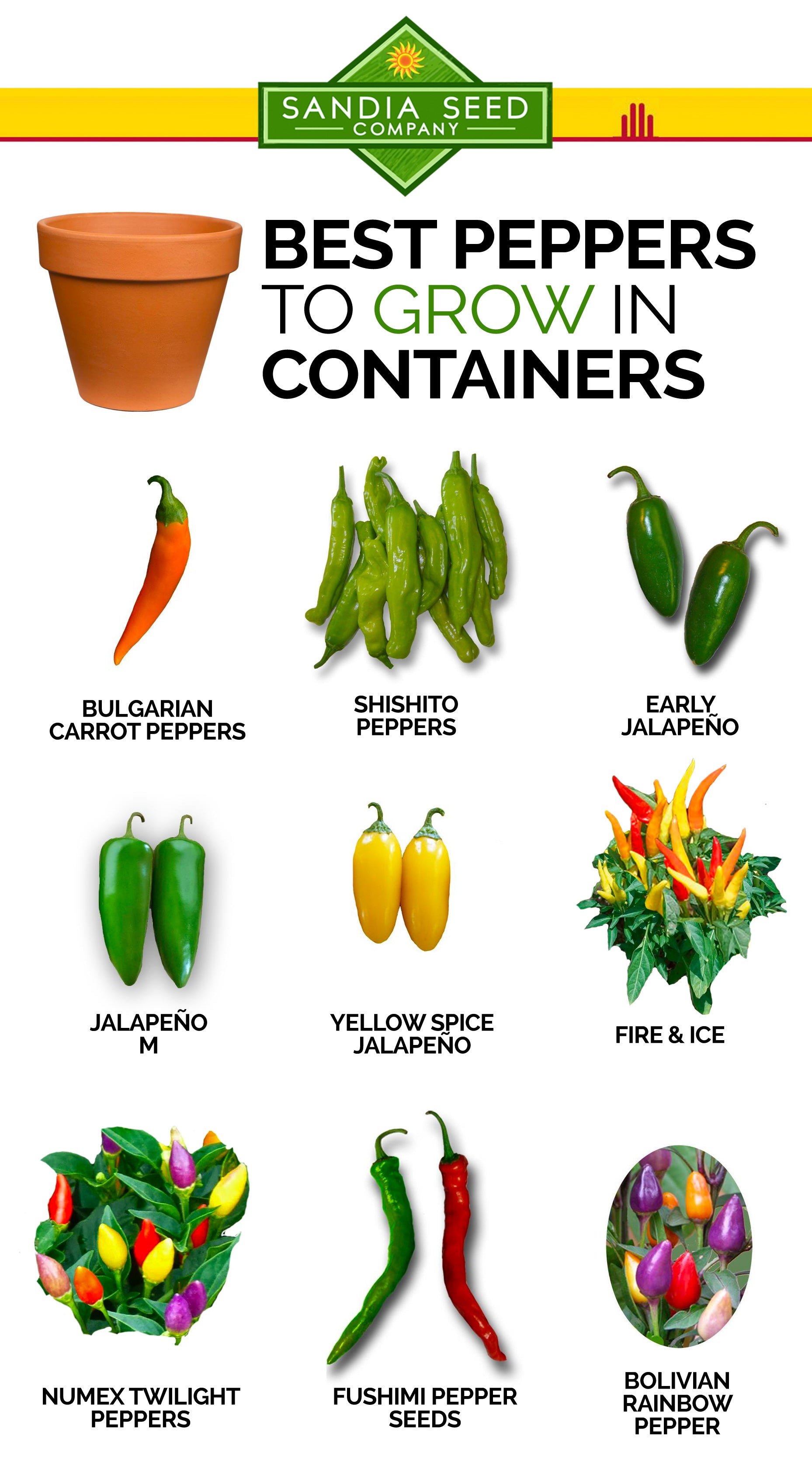 Best Peppers to Grow in Containers – Sandia Seed Company