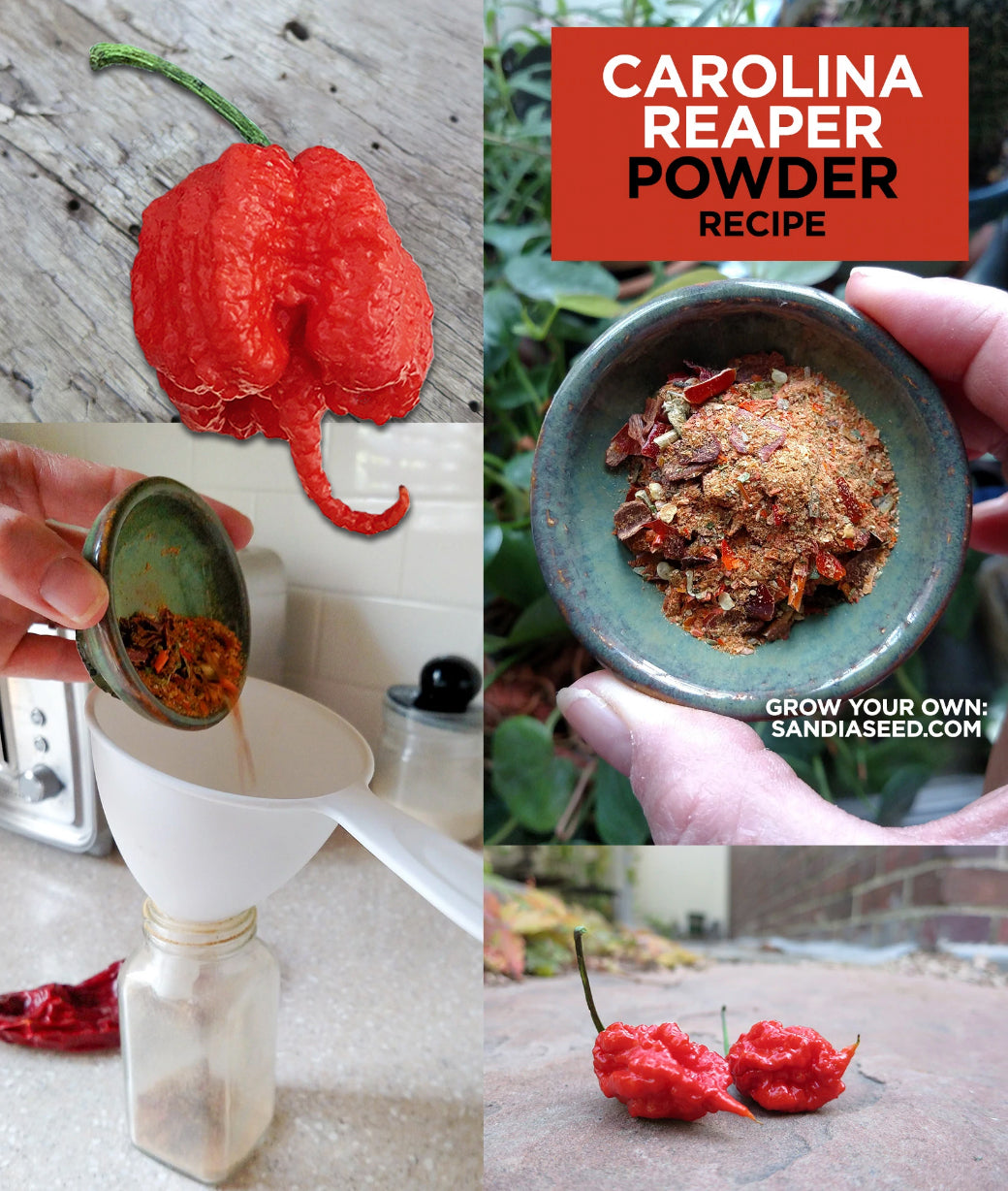 Carolina Reaper Powder Recipe – Sandia Seed Company