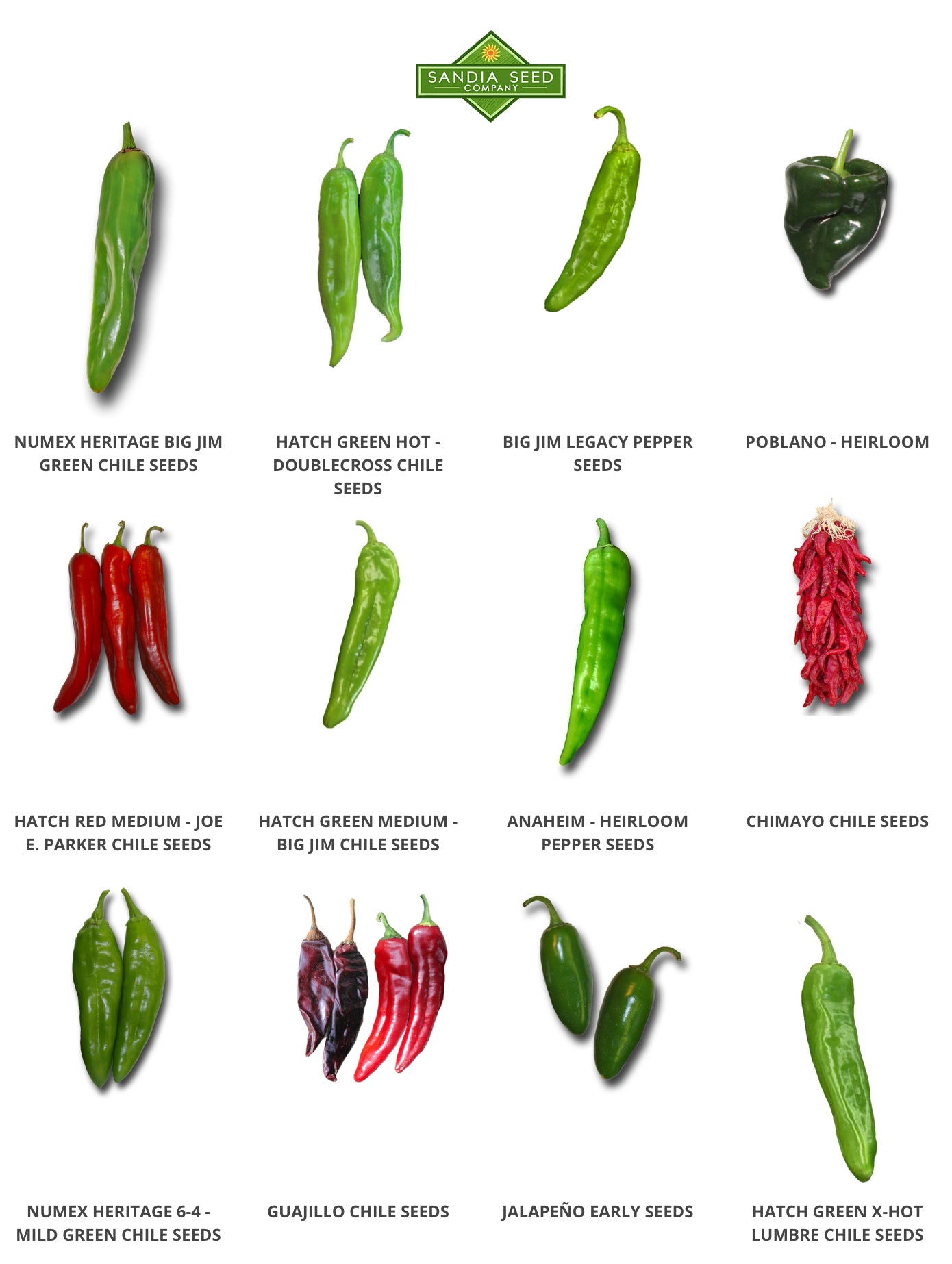 Chilli Seeds – Sandia Seed Company