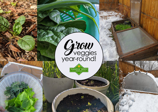 Year Round Gardening