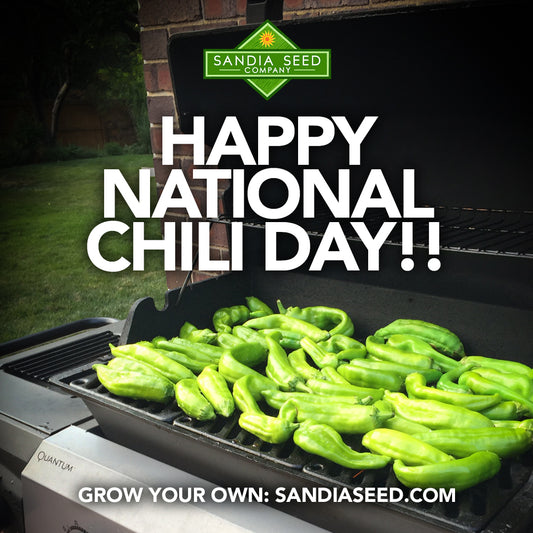 Happy National Chili Day!