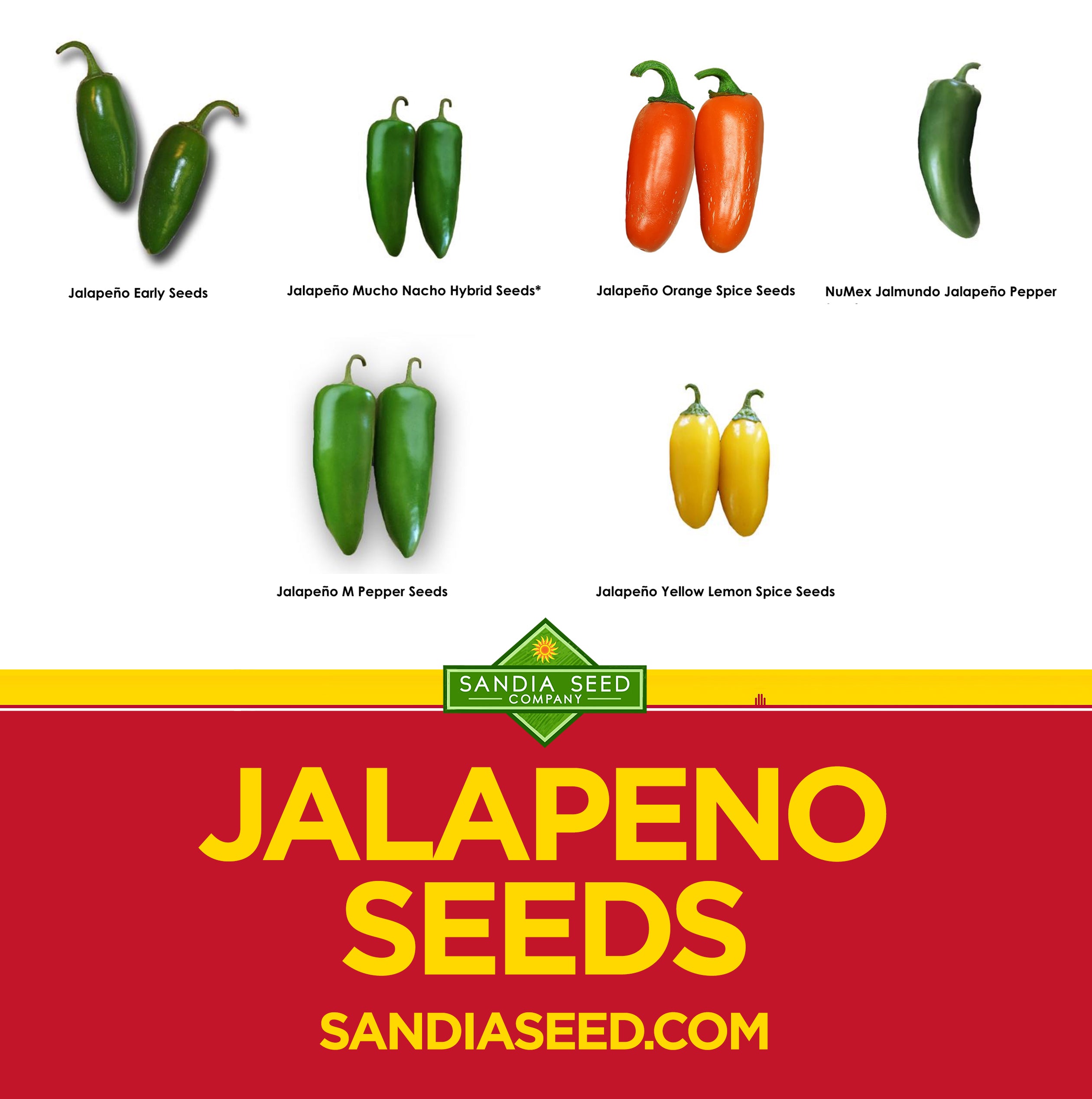 Types of Jalapenos Sandia Seed Company