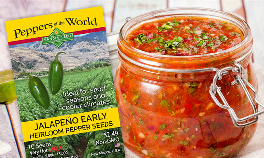 Jalapeno Salsa Recipe