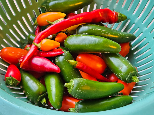 What is the fastest growing pepper?