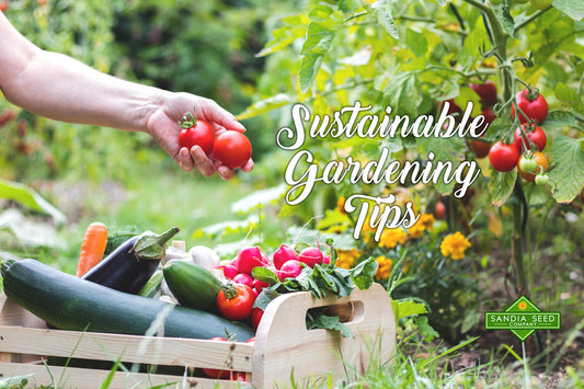 Sustainable Gardening - Our Top 12 Tips!