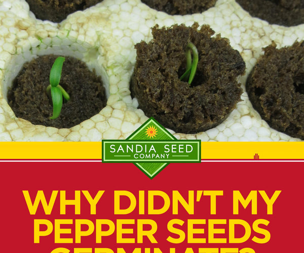 www.sandiaseed.com