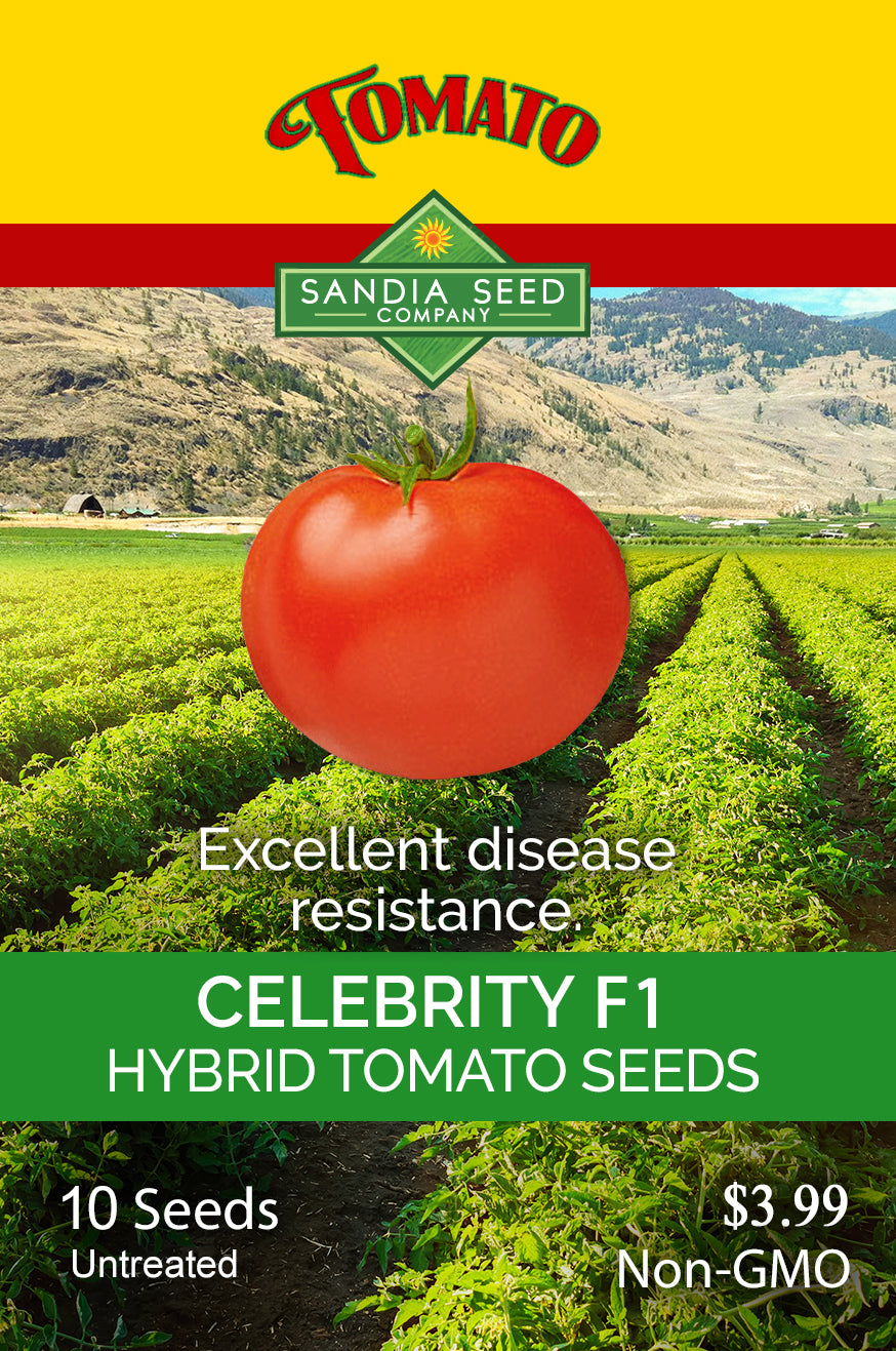 Celebrity F1 Hybrid Tomato Seeds by Sandia Seed Company offer excellent disease resistance, non-GMO, untreated, and perfect for home gardeners.
