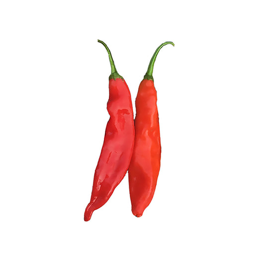 Aji Colorado Seeds - Hot Heirloom Chiles with Fruity Hot Flavor