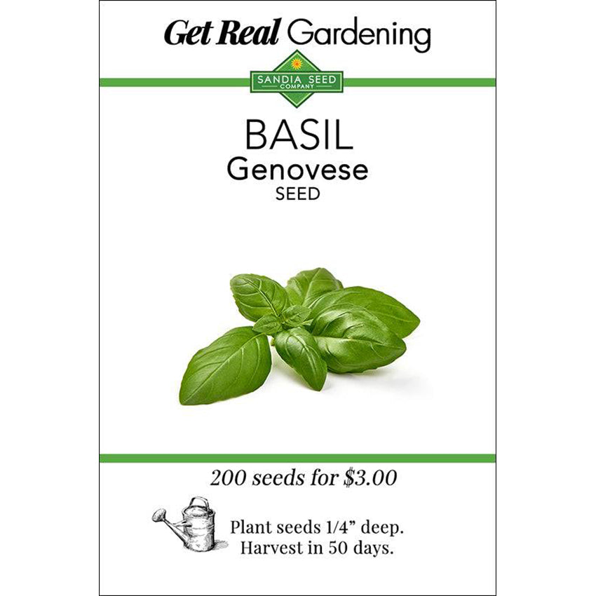 Basil Genovese Seeds - Sweet Italian Heirloom - Great Flavor and Aroma