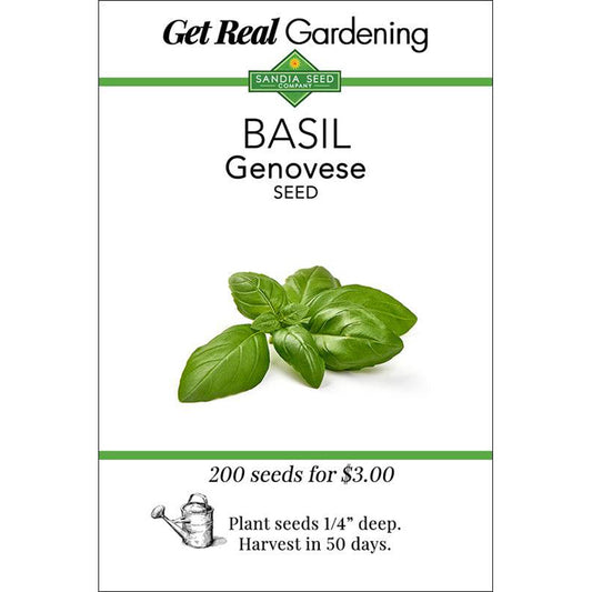 Basil Genovese Seeds - Sweet Italian Heirloom - Great Flavor and Aroma