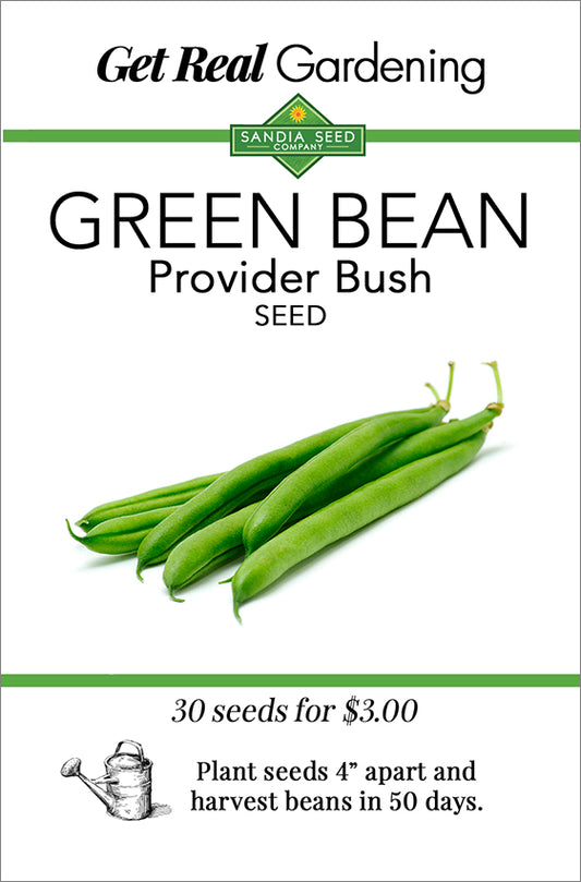 Provider Green Bush Bean Seeds - Reliable Growth and Great Flavor