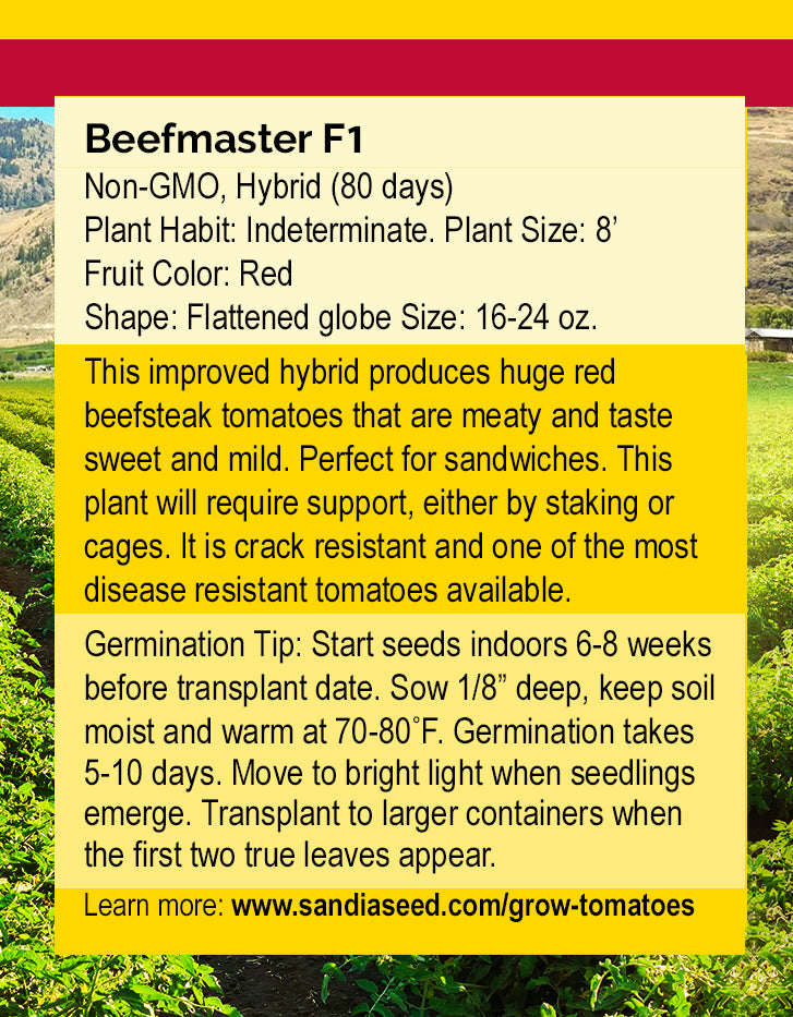 Beefmaster F1 Tomato Seeds - Big Flavor - Vigorous Disease Resistant