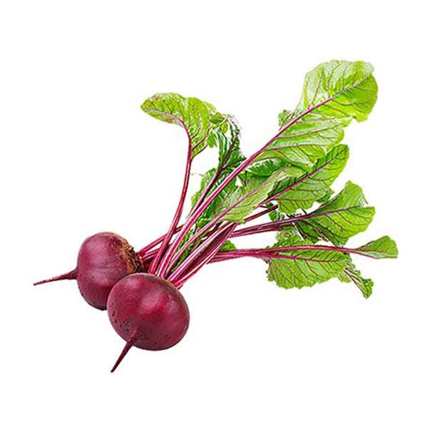 Close-up of fresh Detroit Dark Red Beets with vibrant red roots and green leafy tops, perfect for planting in vegetable gardens