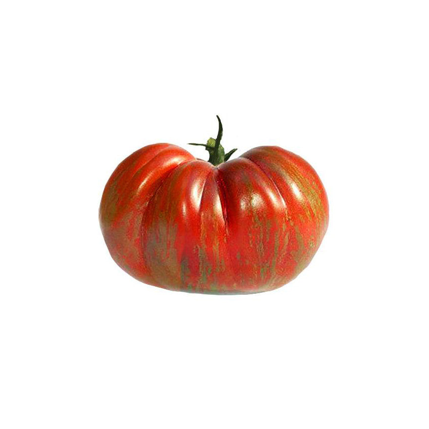 Berkeley Tie-Dye Tomato Seeds - Heirloom - Rich Flavor, Unique Stripes
