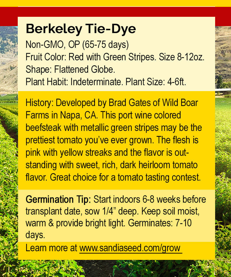 Berkeley Tie-Dye Tomato Seeds - Heirloom - Rich Flavor, Unique Stripes