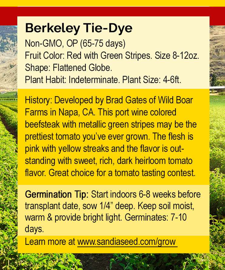 Seed packet label for Berkeley Tie-Dye Tomato Seeds, heirloom, red with green stripes, flat globes, organic, open-pollinated, SKU: 705641-992119