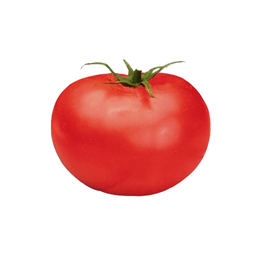 Red Better Boy tomato with green stem on a white background