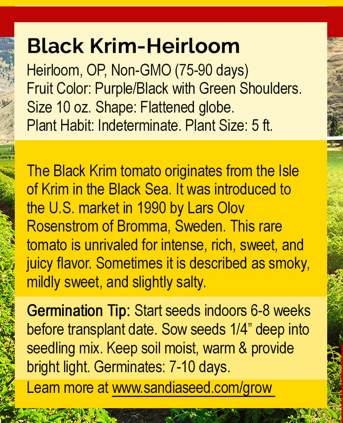 Back of Black Krim Tomato Seeds packet detailing heirloom variety traits, germination tips, and growing instructions for gardeners.