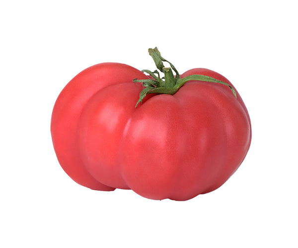 buy rosada tomato seeds Sandia Seed Company