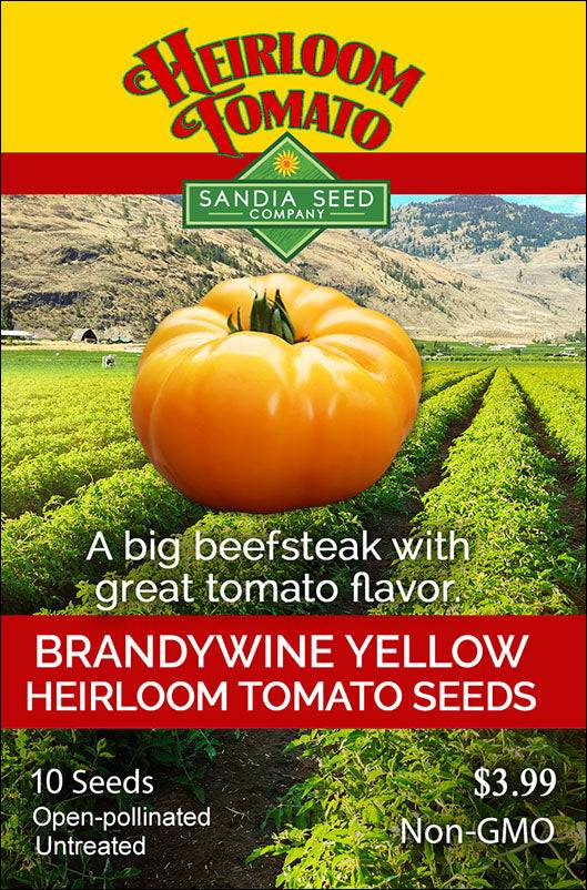 Seed packet for Yellow Brandywine Tomato Seeds by Sandia Seed Company, featuring heirloom, non-GMO branding and garden-grown tomato image.