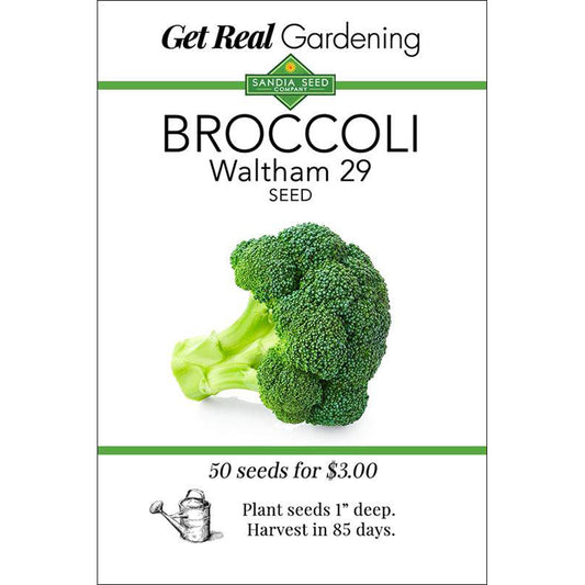 Broccoli Waltham 29 Seeds - Delicious and Reliable Heirloom