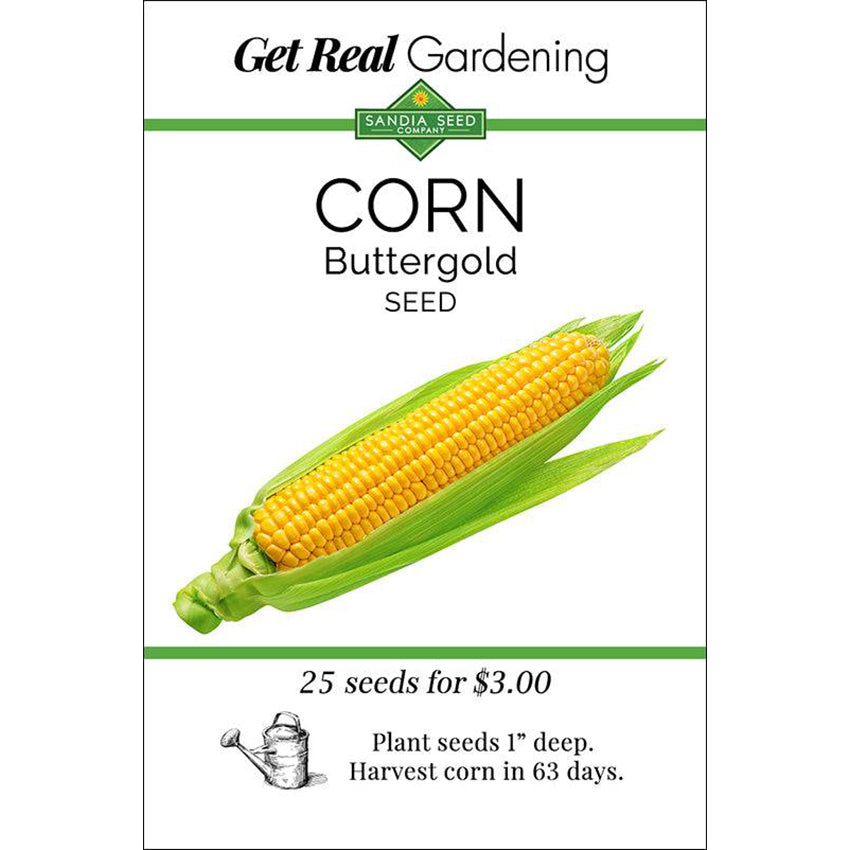 Seed packet for Corn - Buttergold Yellow Sweet Corn F1 Seeds featuring vibrant yellow corn and planting instructions for home gardening.