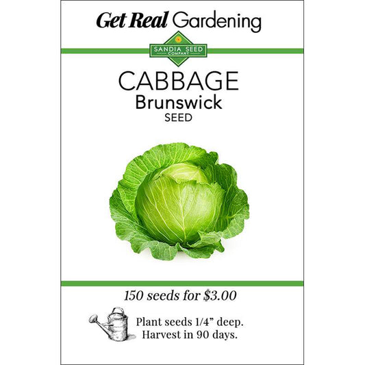 Brunswick Cabbage Seeds - Cold-Hardy, Heat-Resistant, Heirloom