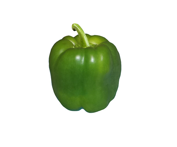 plant seeds bell pepper maryland free shipping Green Cal Wonder Bell Pepper Seeds - Heirloom