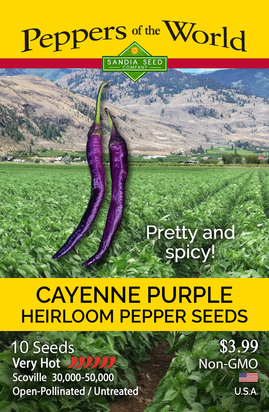 Patio Colors Pepper 6-Pack Seeds - Brilliant Purple, Yellow, Orange and Pastels