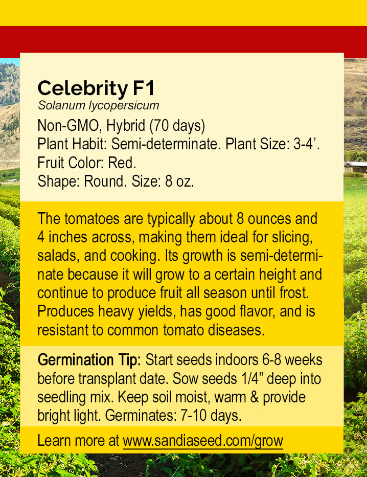 Celebrity F1 Tomato Seeds info card detailing plant traits, germination tips, and growing instructions for high-yield, flavorful hybrid tomatoes.