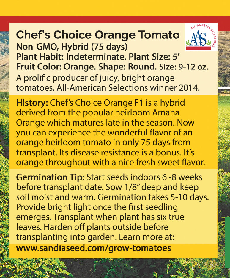 Chef's Choice Orange Tomato Seeds - Juicy and Sweet Flavor - Matures Early