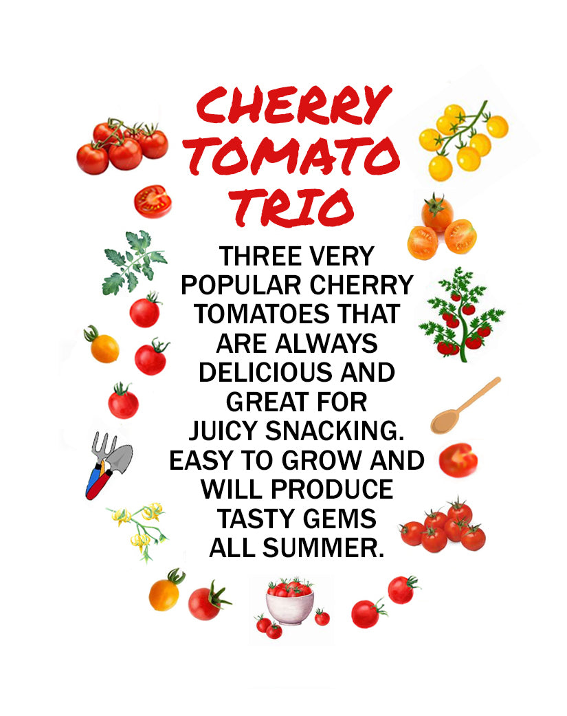A square garden sign or poster featuring the text 'CHERRY TOMATO TRIO' in red, surrounded by watercolor illustrations of different cherry tomatoes in red, yellow, and orange, along with gardening tools like a fork and a wooden spoon.