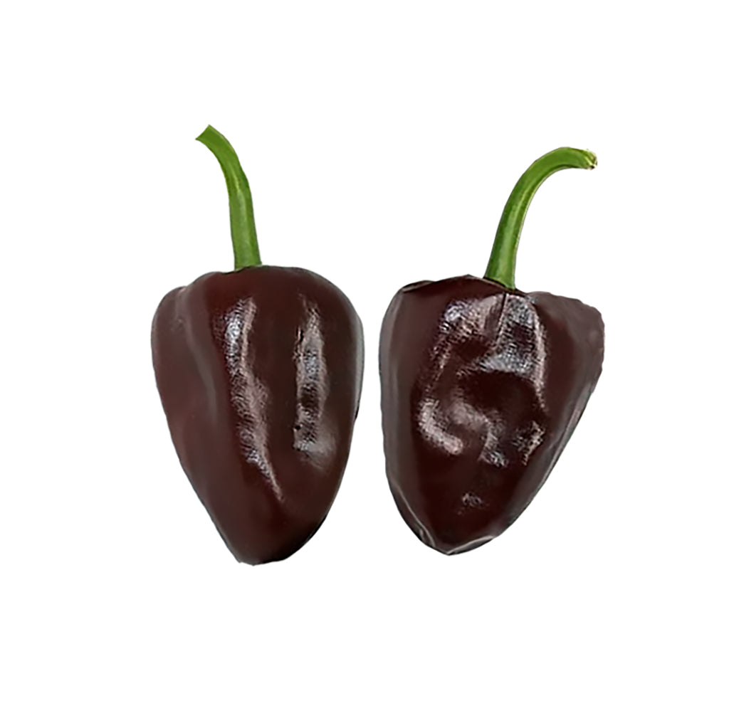 Chilhuacle Negro Pepper Seeds - Rare Mole Pepper - Mild Flavor showing two glossy, dark brown heirloom peppers with green stems.