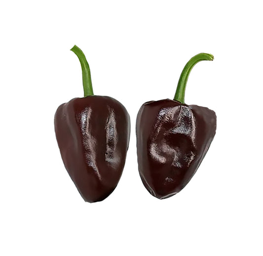 Chilhuacle Negro Pepper Seeds - Rare Mole Pepper - Mild Flavor showing two glossy, dark brown heirloom peppers with green stems.