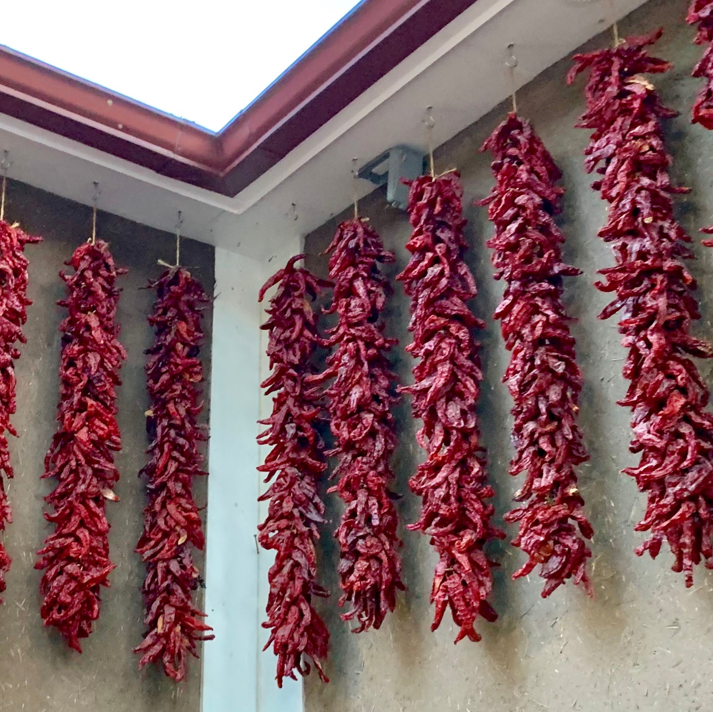 Chimayo chile ristras hanging in Chimayo New Mexico
