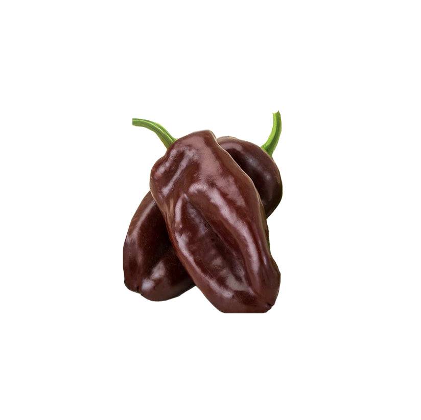 Chocolate Beauty Bell Pepper Seeds produce early-harvest, sweet, chocolate-colored bell peppers ideal for short growing seasons.