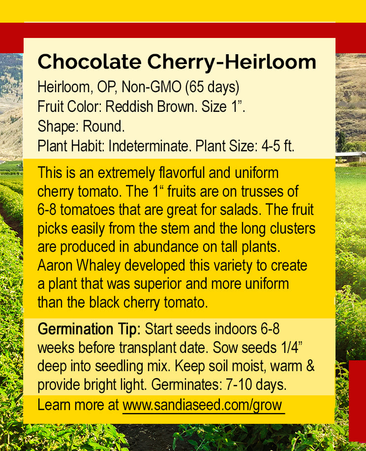 Back of Chocolate Cherry Tomato Seeds packet with detailed planting instructions, germination tips, and heirloom variety description.
