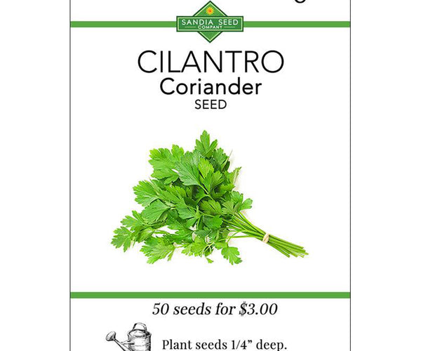 Cilantro Seeds