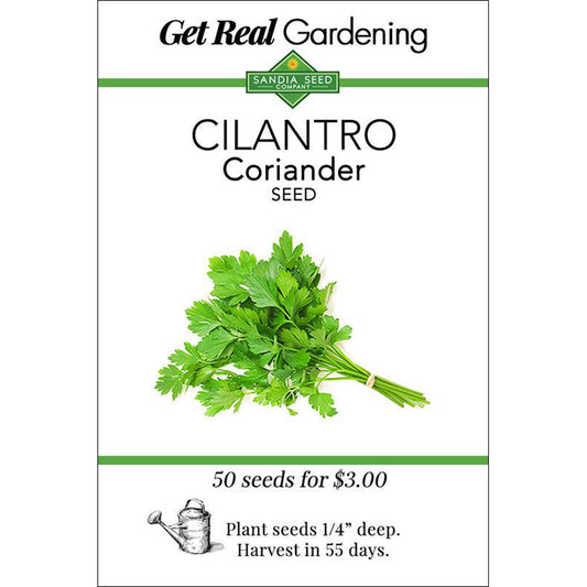 Cilantro seed packet with green leaves and text on a white background