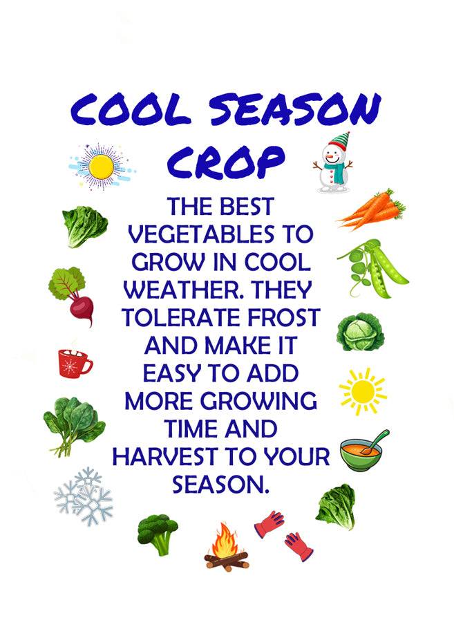 Cool Season Crop info poster highlighting benefits of growing vegetables like carrots, peas, and spinach in cool weather for extended harvest.