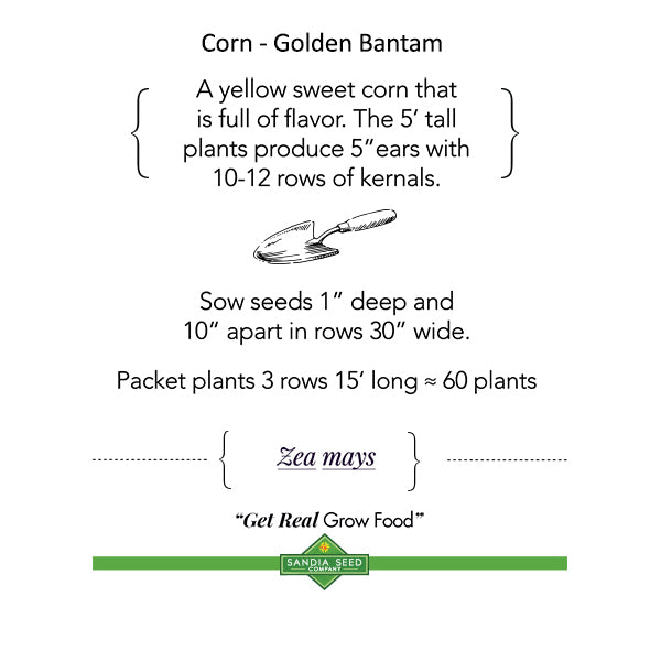 Three Sisters Garden 3-Pack: Corn, Pole Bean and Squash Seeds - 15% Off