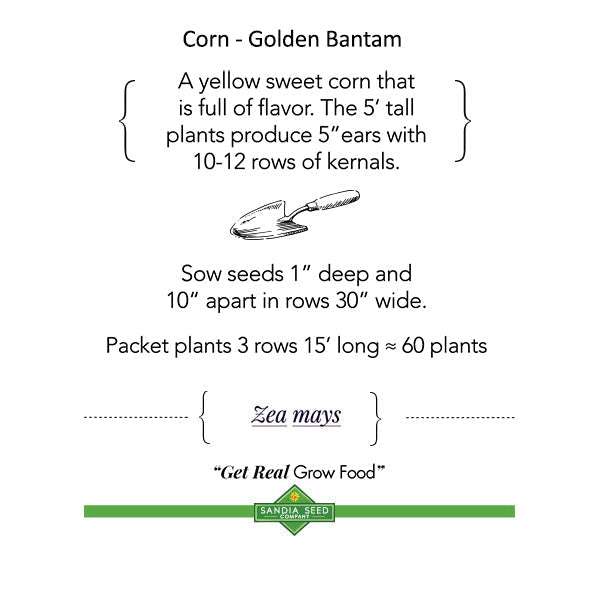 Three Sisters Garden Seeds - Companion Trio - Corn, Bean, Squash corn seed info card detailing Golden Bantam OP planting depth and yield.