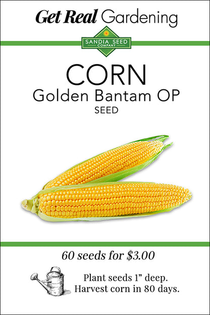 Corn - Golden Bantam Heirloom Seeds