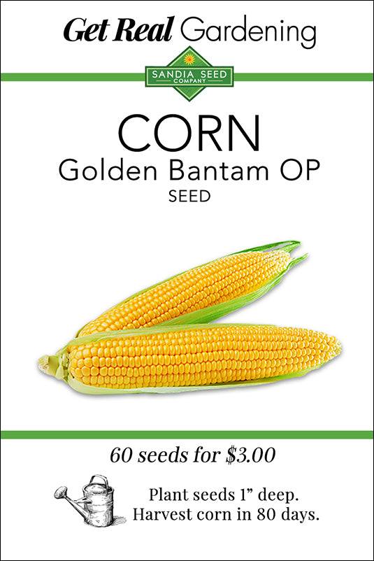 Corn Golden Bantam OP seed packet with 60 seeds, ideal for warm-season vegetable gardens. Plant 1 inch deep and harvest in 80 days.
