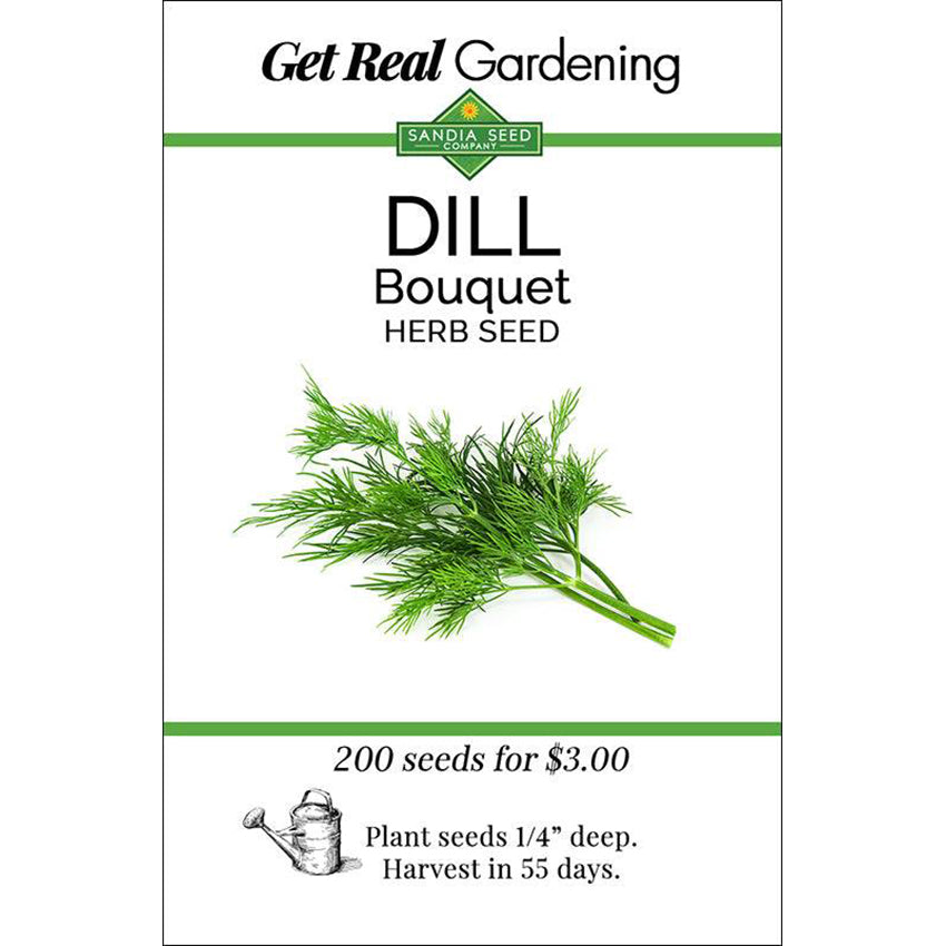Bouquet Dill Seeds - Fragrant for cooking and pickling