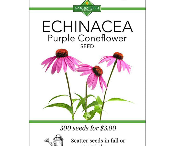 Echinacea Seeds - Purple Coneflower