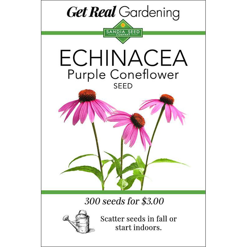 Echinacea Seeds - Purple Coneflower - Easy Grow, Attracts Pollinators