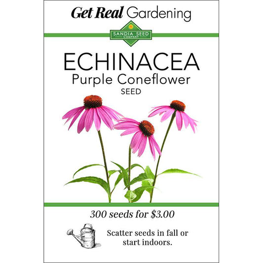 Echinacea Seeds - Purple Coneflower - Easy Grow, Attracts Pollinators
